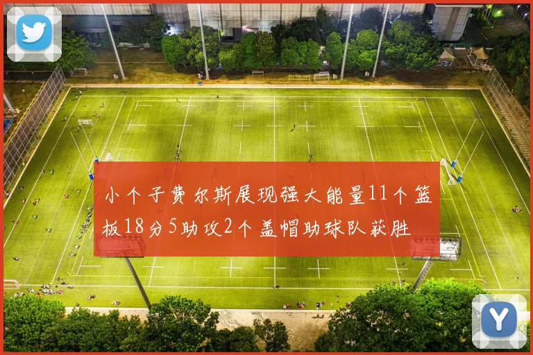 小个子费尔斯展现强大能量11个篮板18分5助攻2个盖帽助球队获胜