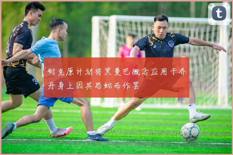 耐克原计划将黑曼巴概念应用于乔丹身上因其恐蛇而作罢